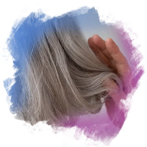does glutathione cause gray hair Why Does Hair Whitening Occur? How to Prevent Graying? does glutathione cause gray hair Why Does Hair Whitening Occur? How to Prevent Graying?